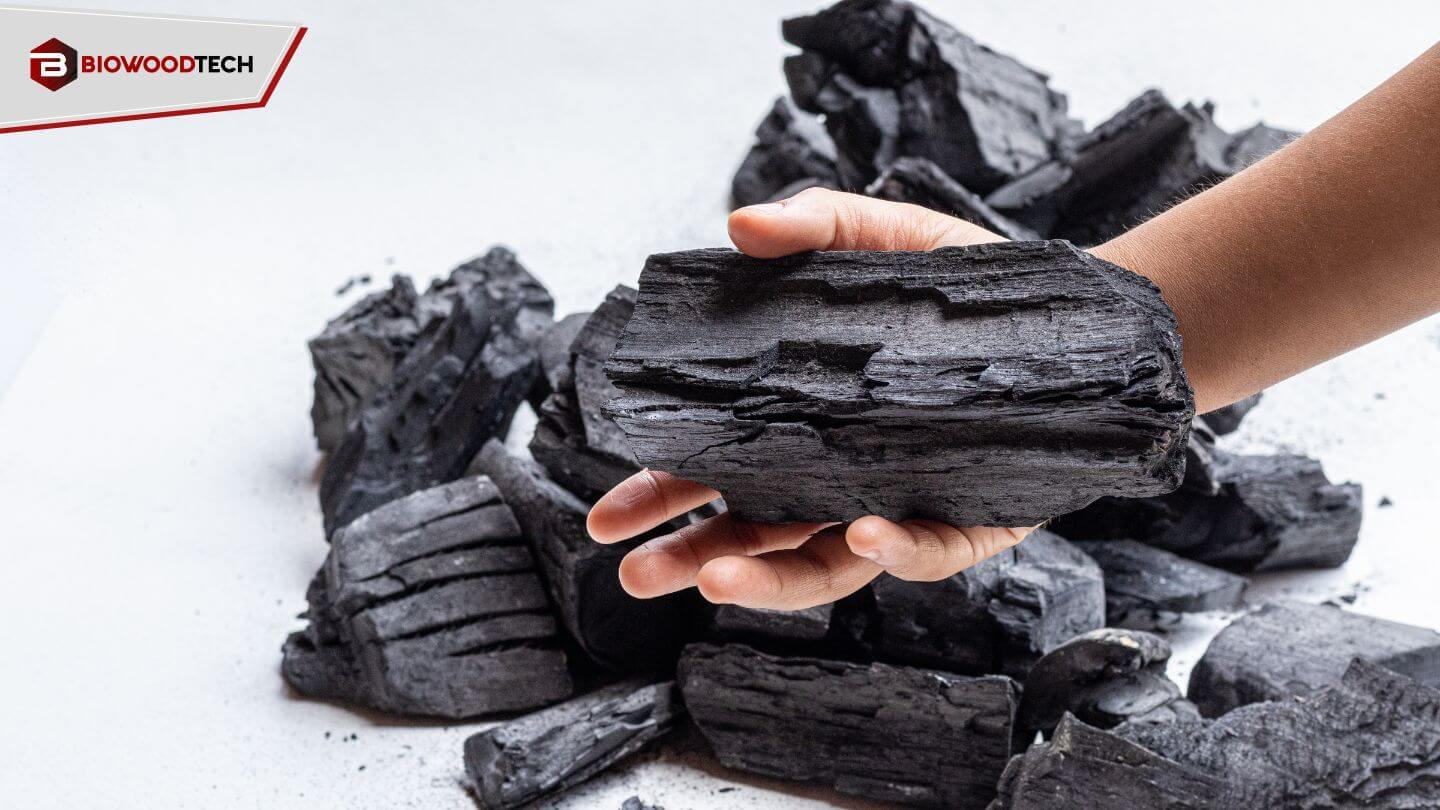 Hand holding a piece of Biowoodtech charcoal against a white background, with additional charcoal pieces scattered around.